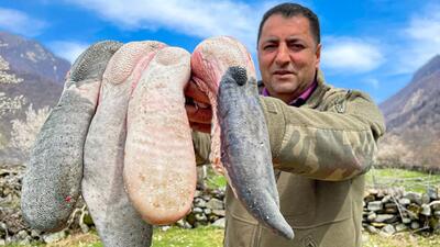 (ویدئو) نحوه پخت یک غذای سنتی با 2 کیلوگرم زبان گاو توسط آشپز مشهور آذربایجانی