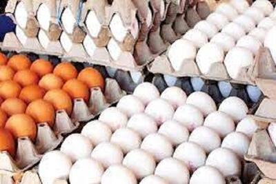 در تولید تخم‌مرغ سیر صعودی داشتیم/ آماده‌سازی بستر صادرات تخم‌مرغ به روسیه