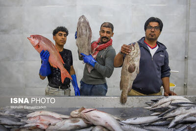 بازار ماهی فروشان مشهد
