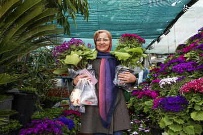 عکس/ بازار گل و گیاه مشهد در آستانه نوروز