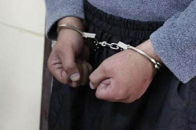 کلاهبردار ۵۰۰ میلیارد ریالی حوزه مسکن در سمنان دستگیر شد
