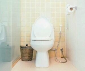 توالت ایرانیش بهتره یا فرنگی؟ چرا؟