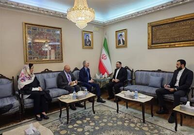 دیدار نماینده سازمان ملل در امور سوریه با سفیر ایران - تسنیم