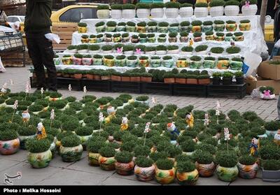 رنگ‌وبوی بهار در بازار لرستان- فیلم دفاتر استانی تسنیم | Tasnim