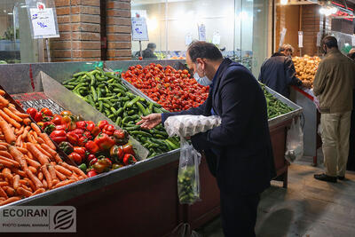 قیمت مرغ و میوه در آخرین روز 1402/ برنامه دولت برای ثبات قیمت‌ها
