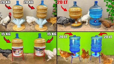 (ویدئو) ایده های آسات و جالب برای ساخت آبخوری مرغ با ظروف و بطری پلاستیکی