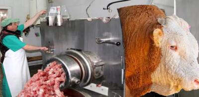 (ویدئو) فرآیند پردازش و فرآوری گوشت و شیر گاو در یک کارخانه مدرن