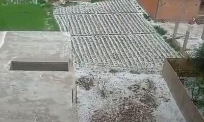 (ویدئو) صحنه‌ای نادر از بارش برف در مصر