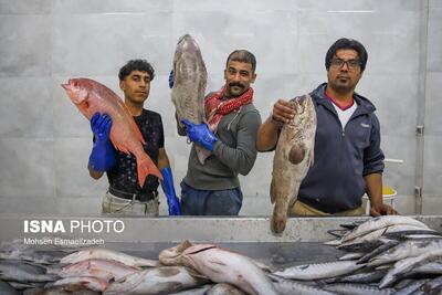 (تصاویر) بازار ماهی فروشان مشهد