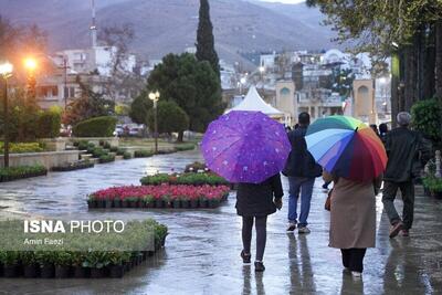(تصاویر) بارش باران بهاری در شیراز