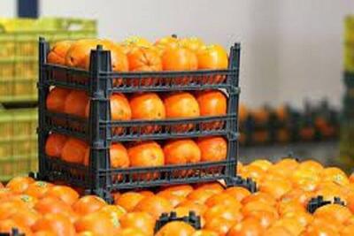 سیب و پرتقال تنظیم بازاری در کرمانشاه کیلویی چند؟