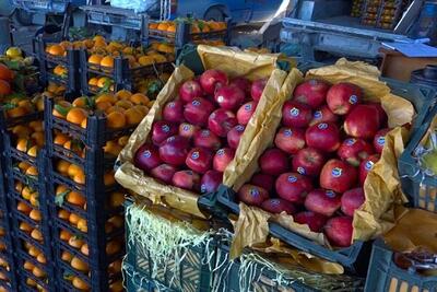 ۶۰ مرکز توزیع و عرضه مستقیم میوه در آذربایجان‌غربی دایر است