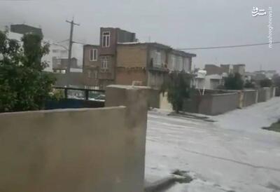 فیلم/ بارش تگرگ در شهر ایوان استان ایلام