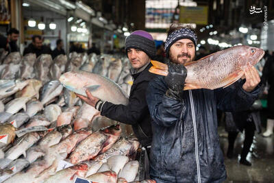 فیلم/ هیجان خرید ماهی شب عید از بازار
