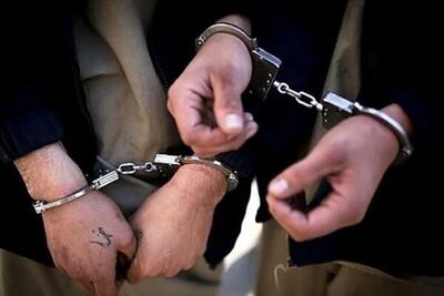 دستگیری ۲ سارق سیم برق در شاهرود/ تهیه مواد مخدر انگیزه سرقت بود