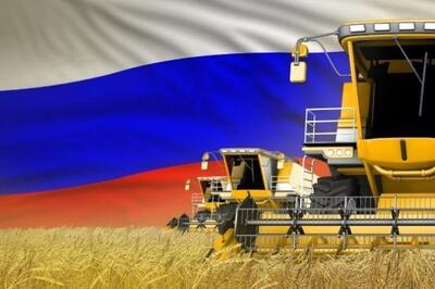 اتحادیه اروپا در حال آماده شدن برای وضع عوارض گمرکی بر غلات روسیه است