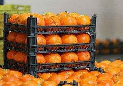 توزیع 100 تن میوه تنظیم بازار در کاشان - تسنیم