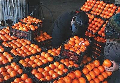 میوه تنظیم بازار امسال 35 درصد زیر نرخ بازار - تسنیم