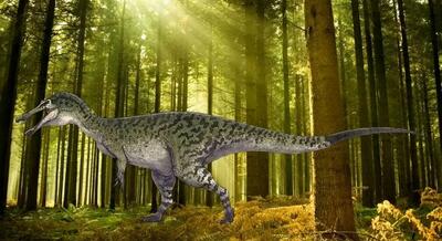 جزئیات کشف گونه جدیدی از دایناسورهای گوشتخوار