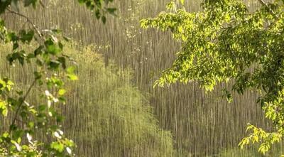 میانگین بارش در لرستان ۵۳.۸ میلی‌متر