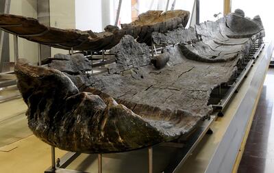 این قایق‌‌های «پیشرفته» ۷ هزار سال قبل در دریای مدیترانه حرکت می‌کردند