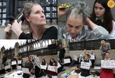 (ویدئو) زنان انگلیسی با تجمع مقابل پارلمان سر خود را تراشیدند