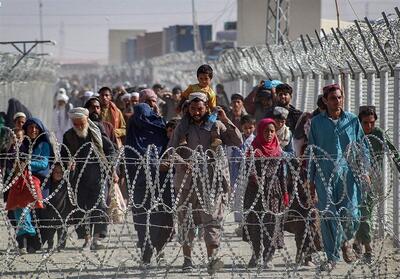 تاکید وزیر کشور پاکستان بر ادامه اخراج پناهجویان افغان - تسنیم
