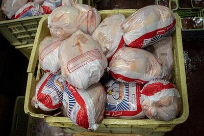 تلاش مضاعف برای دستیابی به تولید ۱۰۰ هزارتن گوشت مرغ در سیستان و بلوچستان