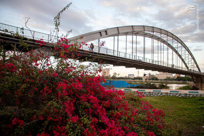عکس/ مسافران نوروزی در پل سفید اهواز