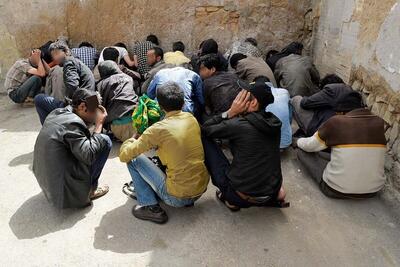 ۶۳ معتاد متجاهر در بهارستان جمع آوری شدند
