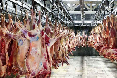 جهاد کشاورزی خبر داد: عرضه گوشت گرم در فروشگاه‌های تهران از امروز | خبرگزاری بین المللی شفقنا