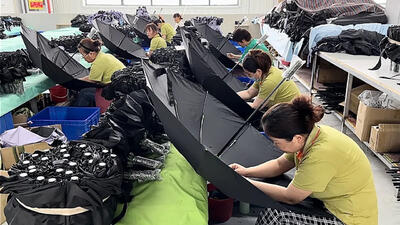 (ویدئو) فرآیند ساخت چترهای دست ساز در یک کارخانه بزرگ چینی