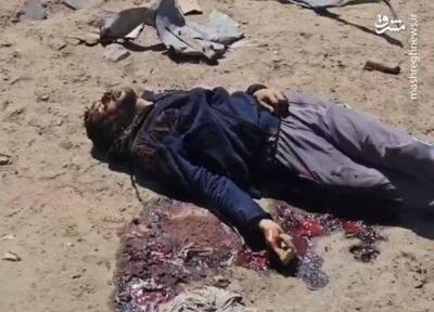 فیلم/ قتل عام جدید در میدان کویت در جنوب غزه(+۱۶)