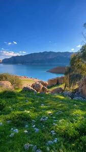 زیبایی خیره کننده دریاچه شهیون + فیلم