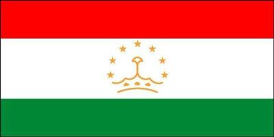 آرتی: هشدار تاجیکستان نسبت به گزارش های دروغین مبنی بر دخالت شهروندانش در حمله تروریستی مسکو | خبرگزاری بین المللی شفقنا