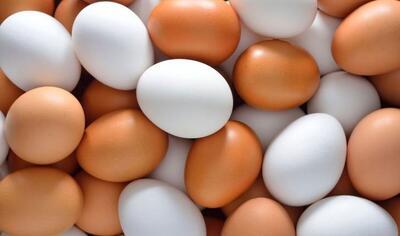 قیمت تخم‌مرغ در سال جدید اعلام شد