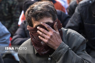۳۱۳ معتاد متجاهر در شیراز جمع‌آوری شد