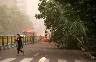 آماده باش مدیریت بحران برای وزش باد شدید در تهران