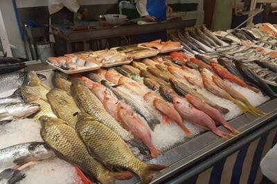 کشف ۱۰۰ قطعه ماهی از متخلفین صید غیرمجاز ماهی در سرپل ذهاب