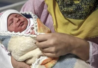 تولد 280 نوزاد در 4 روز نخست امسال در قم - تسنیم