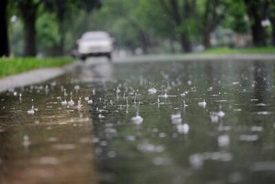 بارندگی‌ها در فارس خسارتی به دنبال نداشته است