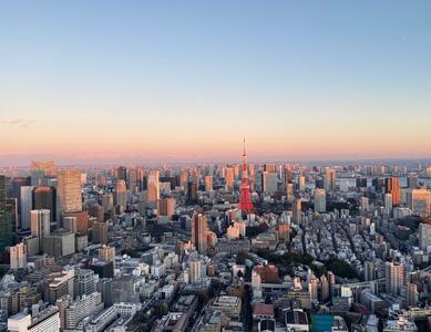 نمایی زیبا از شهر توکیو (فیلم)