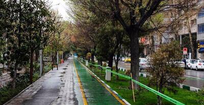 زاکانی ریخت خیابان تاریخی تهران را به‌هم ریخت