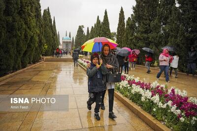 (تصاویر) باران بهاری در شیراز
