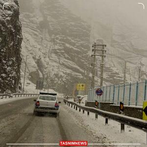 هم‌اکنون بارش برف در جاده چالوس/ ترافیک شمال سنگین شد