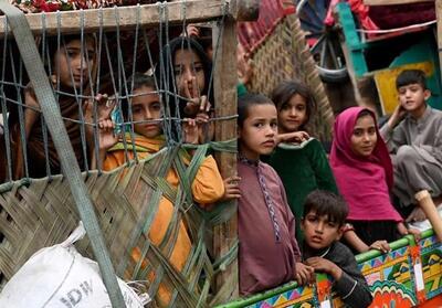 آمادگی پاکستان برای اخراج پناهجویان   با مدرک   افغان - تسنیم