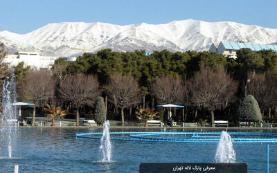 تصویر غیرمنتظره‌ای که از پارک لاله تهران وایرال شد