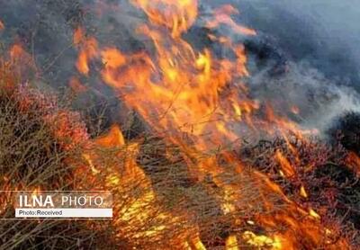 مهار آتش سوزی جنگل های مرزن آباد چالوس