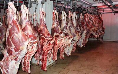 سرانه مصرف گوشت ایرانیان چقدر است؟ | رویداد24