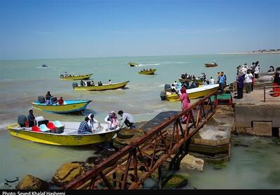 فعالیت 159 لنج و قایق در طرح‌های گردشگری دریایی بوشهر - تسنیم